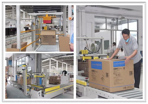 工廠巨變 從百人到十人，浴室柜行業的生產革命與市場陣痛