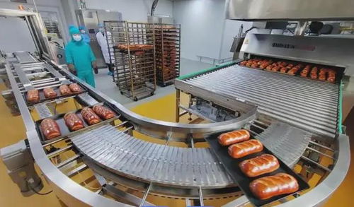 LFGB認證指南 食品加工設備出口德國的必備測試與資料